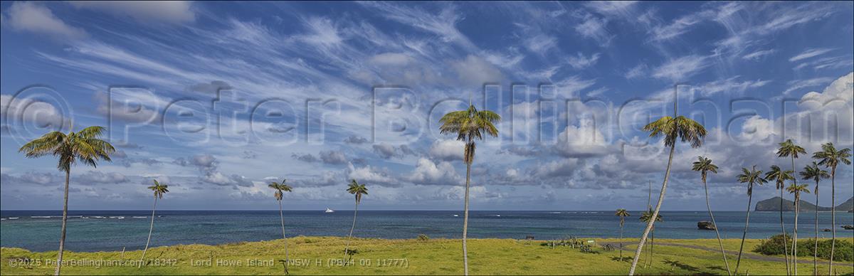 Peter Bellingham Photography Lord Howe Island - NSW H (PBH4 00 11777)